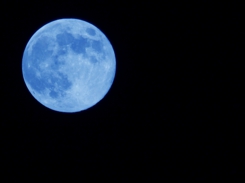 Blue Moon.jpg