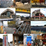 原色のまま奪われた軌跡 m.jpg