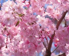 The road of tomorrow ～明日への旅立ちの中で～.jpg